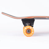 Sector 9 Abandon Shredder Complete 31.75 x 8.5 x 15.5