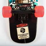 Sector 9 Bambino Shorebreak 26.5 x 7.5