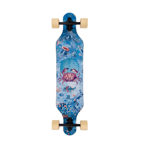 D Street Longboard Reef Dropthough