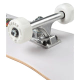 Arbor Skate completo Wiskey 7,75 Forage