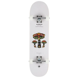 Arbor Skate completo Wiskey 7,75 Forage